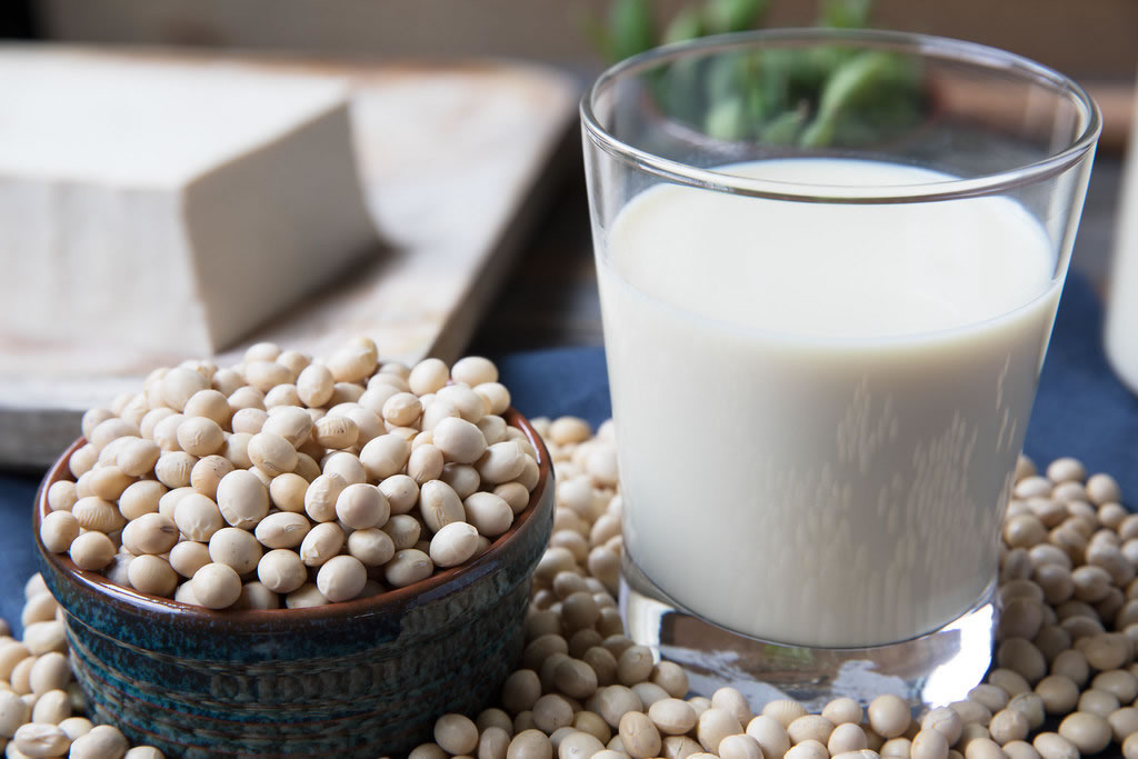 How To Maintain A Soy Milk Maker