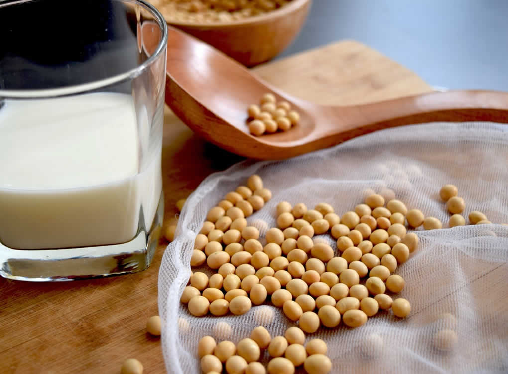 How To Choose The Best Soy Milk Maker